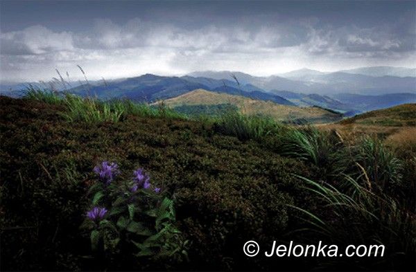 JELENIA GÓRA: Jak obrazy malowane fotografią