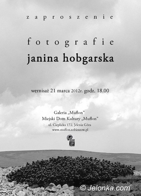 JELENIA GÓRA: Po prostu “Fotografie”. Wystawa Janiny Hobgarskiej w “Muflonie”