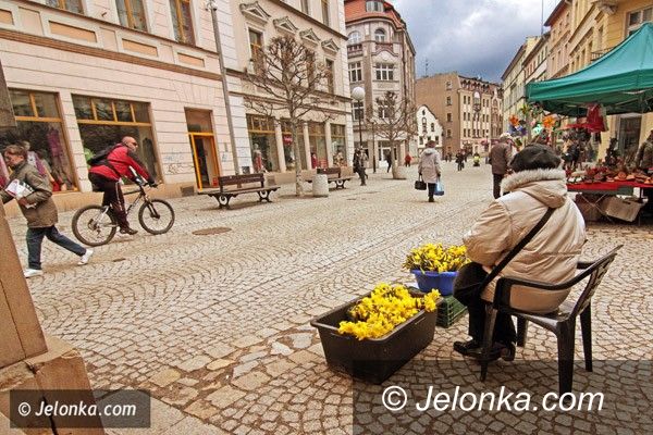 JELENIA GÓRA: Wiosna! Zimniejszy wieje wiatr
