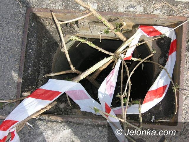 JELENIA GÓRA: Skradzione kratki żeliwne zastąpiono... patykami