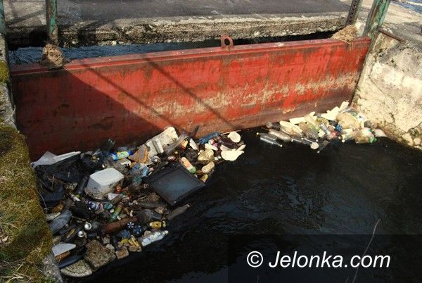 REGION JELENIOGÓRSKI: Czyszczą brzegi Bobru w Janowicach Wielkich