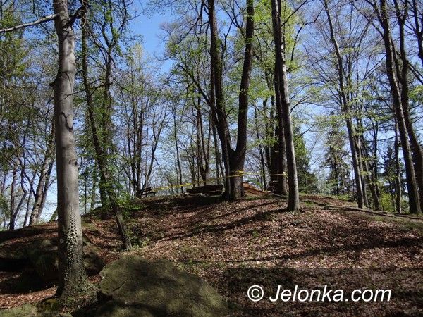 Jelenia Góra: Historyczne odkrycia na Szubienicznym Wzgórzu