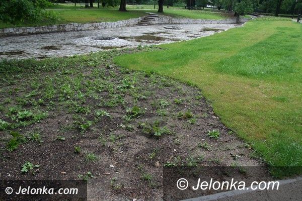 Jelenia Góra: Kiedy Park Zdrojowy będzie wyglądał, jak powinien?