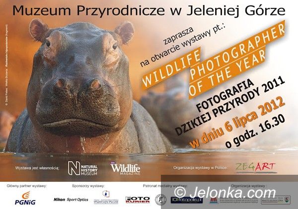 Jelenia Góra: Najpiękniejsze fotografie przyrody w Cieplicach