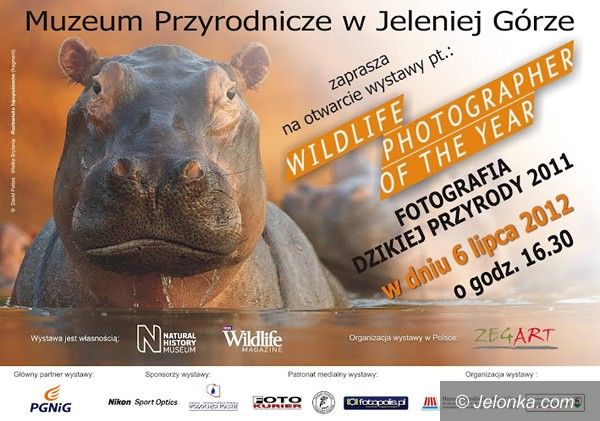 Jelenia Góra: Najpiękniejsze fotografie przyrody w Cieplicach