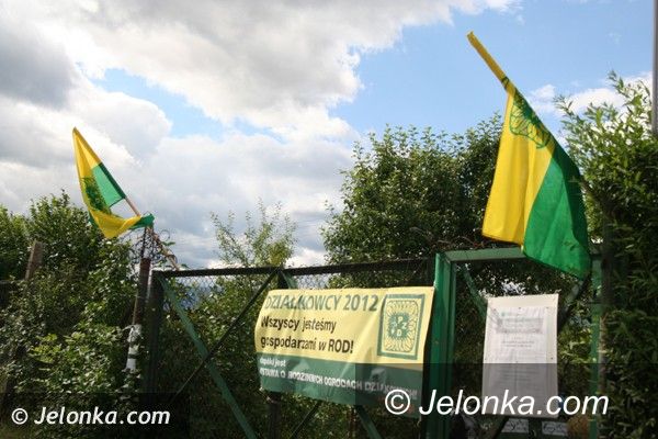 Jelenia Góra/kraj: Zostawcie nam nasze ogrody! – apelują działkowcy. Boją się, że stracą swój azyl