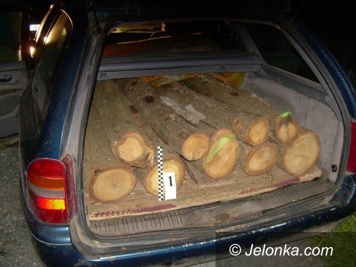 Region: Były strażnik leśny kradł drewno