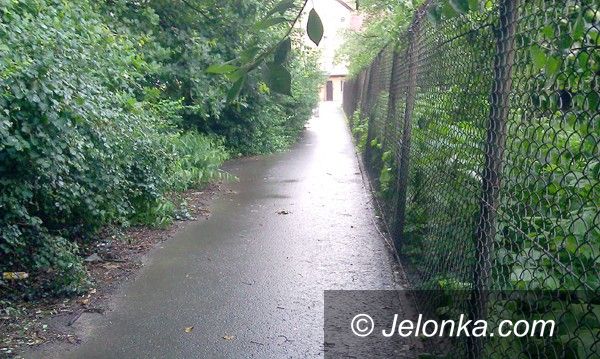 Jelenia Góra: W centrum Cieplic jest tak zarośnięta droga, że trudno nią przejść