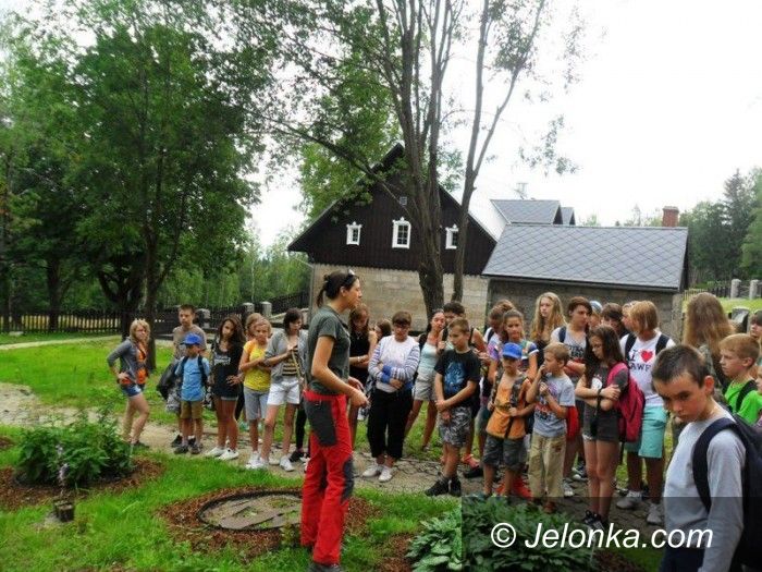 Region: Śladami Laborantów i Walończyków