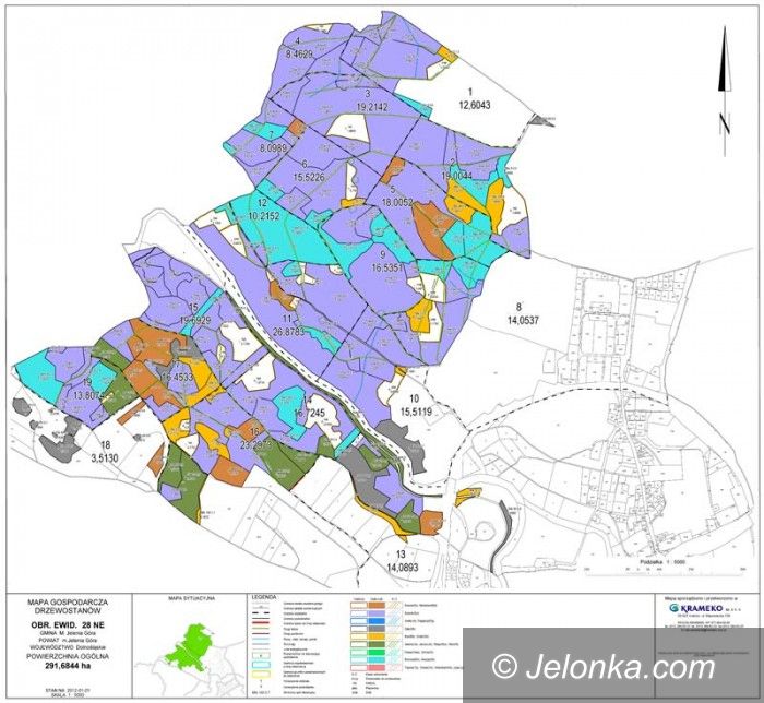 Jelenia Góra/region: Posadzą około 90 tysięcy sztuk drzewek