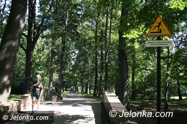Jelenia Góra: Park Norweski w Cieplicach nabiera blasku