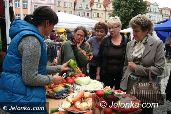 Jelenia Góra: Natura z ekologią i rękodzieło na Placu Ratuszowym