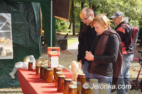 Jelenia Góra: Cieplice spłynęły... miodem