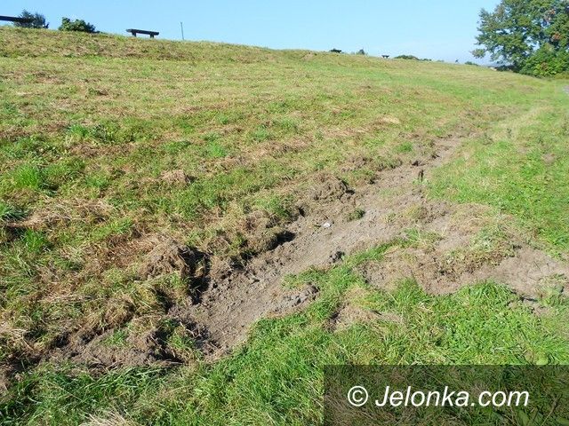 Jelenia Góra: Dziki zryły wał przeciwpowodziowy w Cieplicach