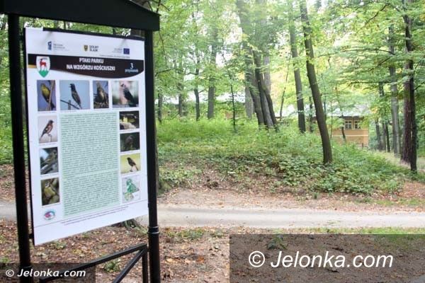 Jelenia Góra: Park Kościuszki z nowym wizerunkiem