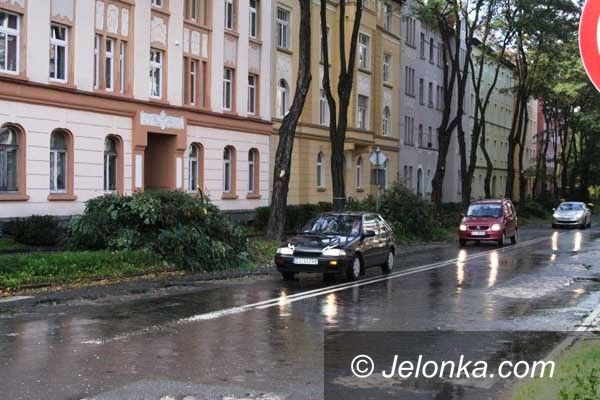 Jelenia Góra: Usuwają niebezpieczne konary i drzewa