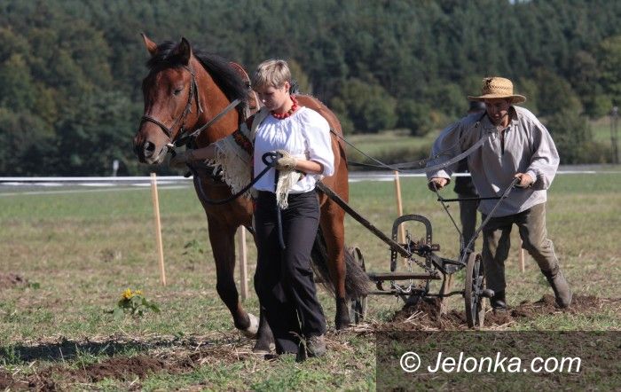 Horka: W Horce była wielka orka