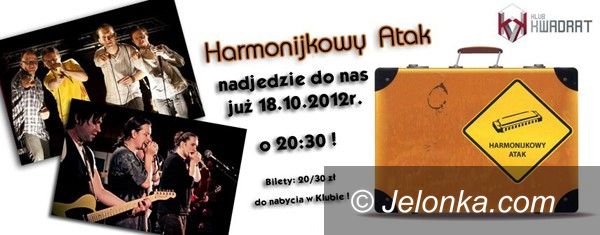 Jelenia Góra: Harmonijkowy Atak  w Kwadracie