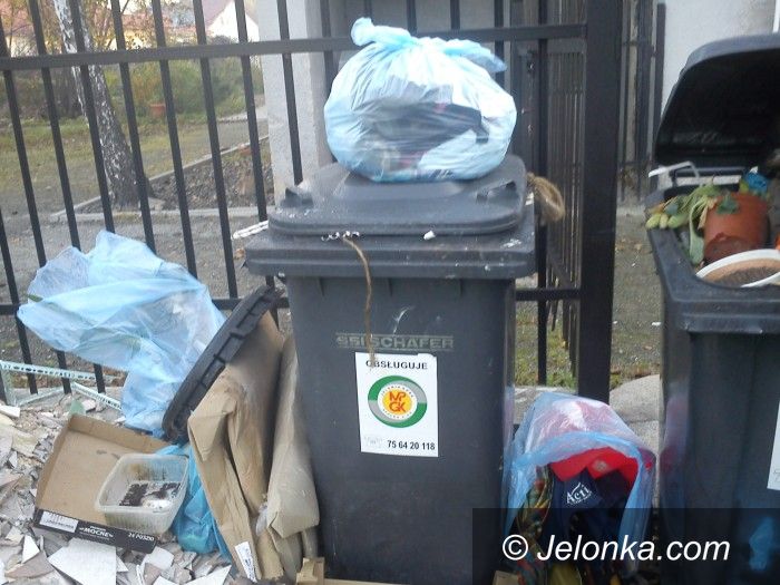 Jelenia Góra: Mieszkańcy Wiejskiej 41a: Toniemy w śmieciach!