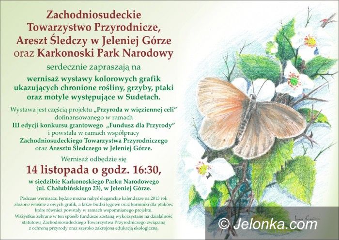 Jelenia Góra: Przyroda w grafice – wernisaż prac osadzonych w areszcie śledczym