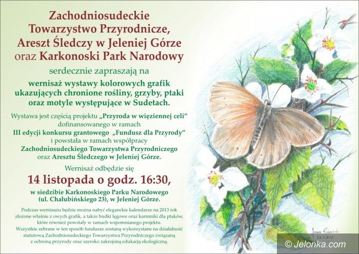 Jelenia Góra: Przyroda w grafice – wernisaż prac osadzonych w areszcie śledczym