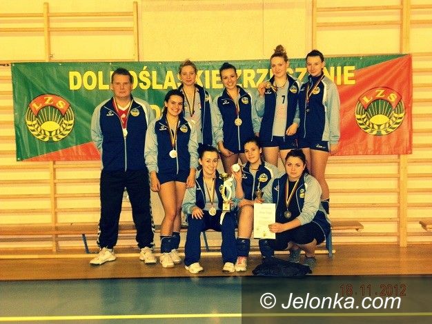 Witoszów Dolny: Sokoliki drugie w Witoszowie Dolnym