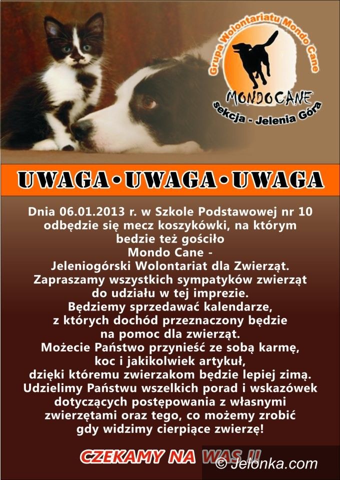 Jelenia Góra: Mecz koszykarek z licznymi atrakcjami
