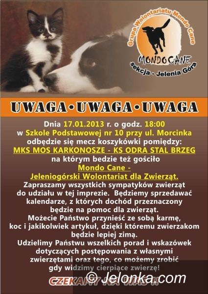 II-liga koszykarek: Koszykarki odrobią zaległości