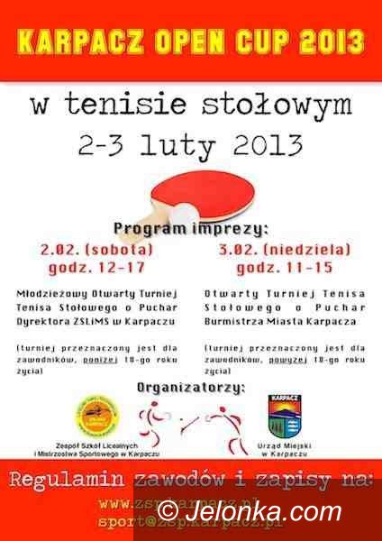 Karpacz: Karpacz Open Cup 2013 – czyli dwudniowe zmagania w tenisie stołowym