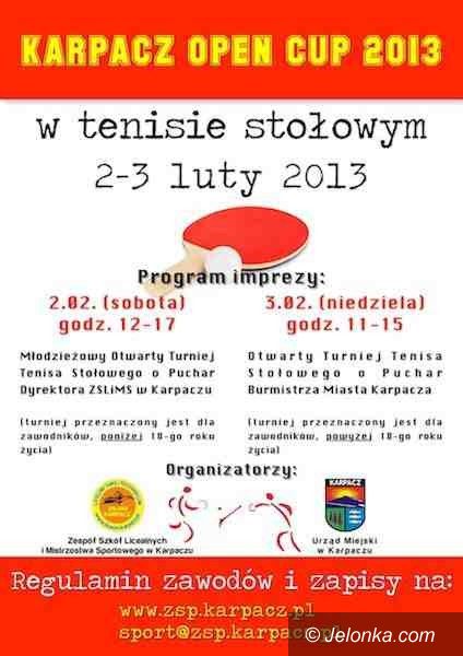 Karpacz: Karpacz Open Cup 2013 – czyli dwudniowe zmagania w tenisie stołowym