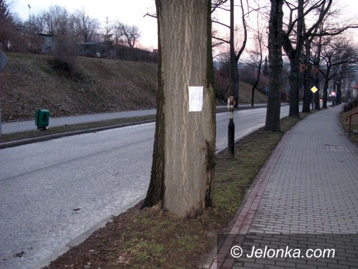 Jelenia Góra: Czytelnik: Nie wszyscy w Jeleniej Górze równi wobec prawa?