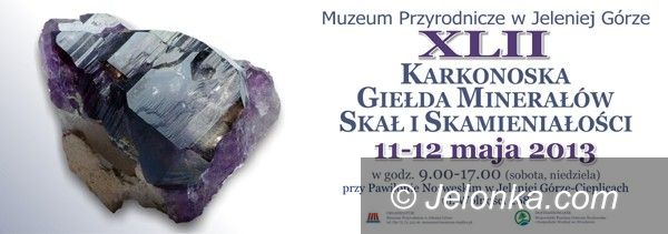 Jelenia Góra: Meteoryty, bursztyn z szerszeniem i czarne diamenty – w Cieplicach
