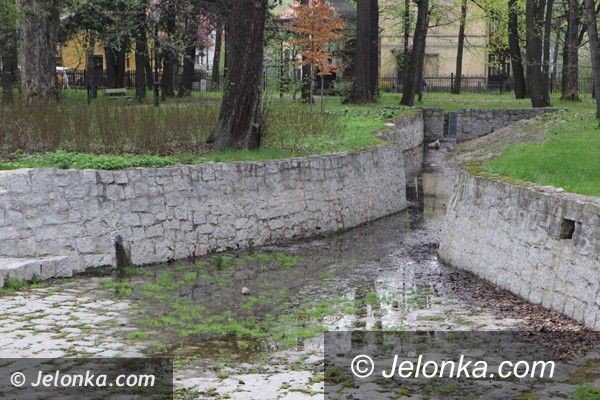 Jelenia Góra: Park Zdrojowy wciąż do poprawki