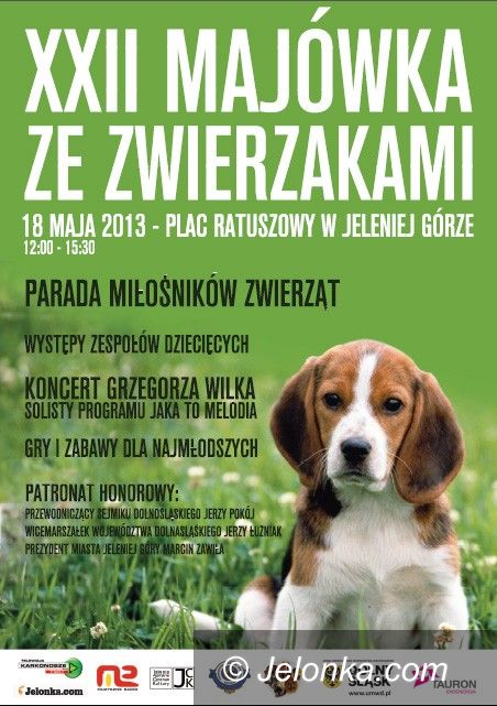 Jelenia Góra: W sobotę „Majówka ze zwierzakami”, zabierz na nią swego pupila!
