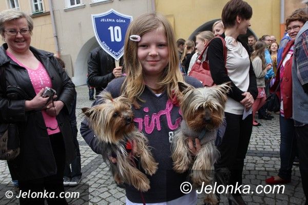 Jelenia Góra: Miłośnicy zwierząt spotkali się  na dorocznej majówce