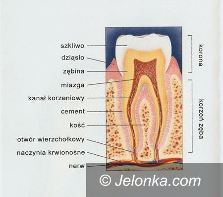 Jelenia Góra: Stomatologia pod narkozą