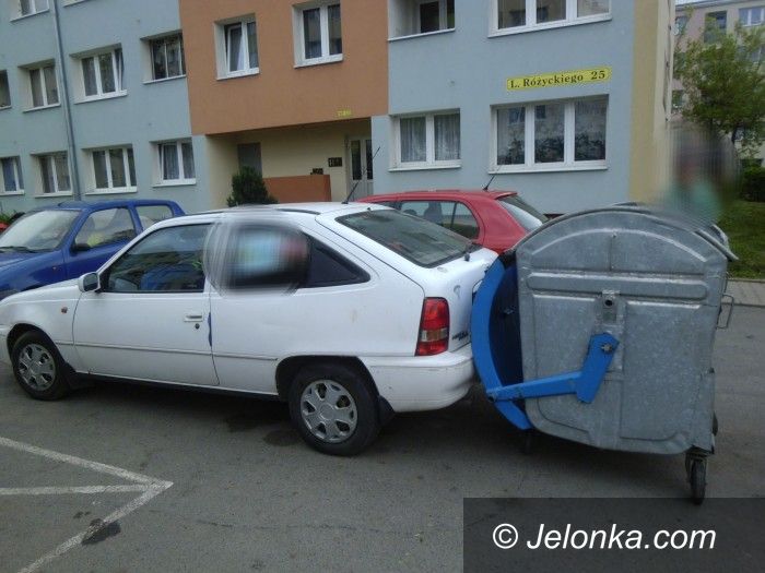 Jelenia Góra: Taki oto „kwiatek” z miasta