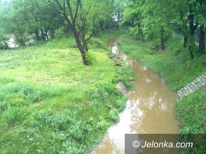 Jelenia Góra: Grupa pasjonatów chce promenady przy Bobrze