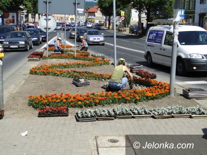 Jelenia Góra: Skwerek ukwiecony, teraz czas na jelonka