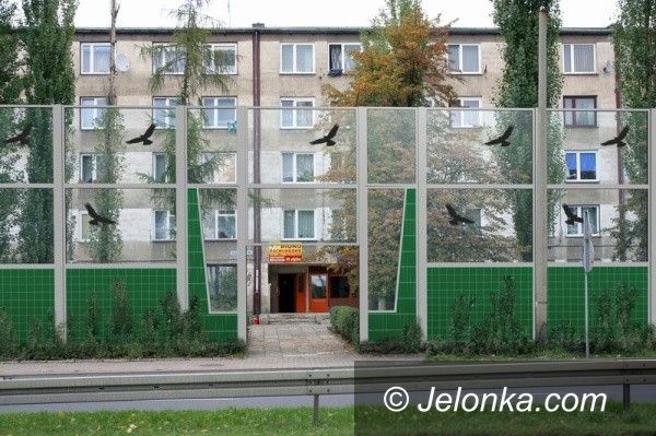 Jelenia Góra: Czytelniczka: Ekrany na Wincentego Pola zabijają ptaki!