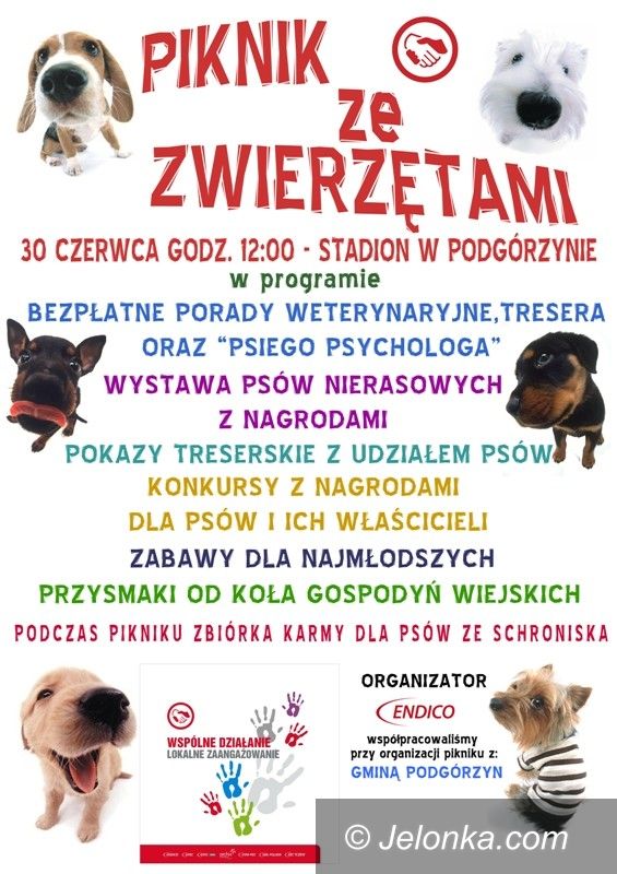 Region: Piknik ze zwierzętami w Podgórzynie