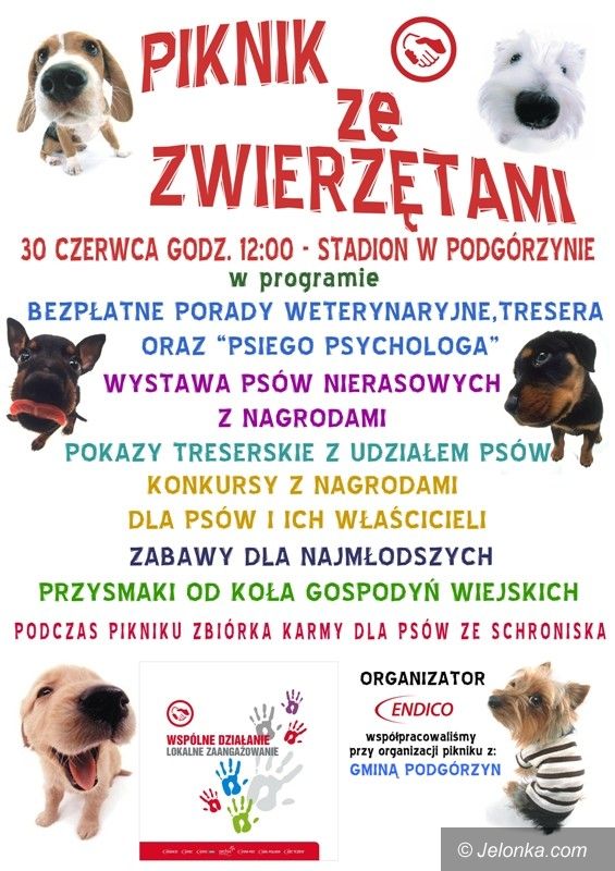 Region: Piknik ze zwierzętami w Podgórzynie
