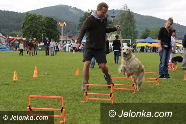 Region: Piknik ze zwierzętami udał się na medal