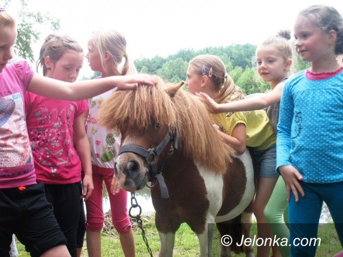 Jelenia Góra: Półkolonie w MDK są super!
