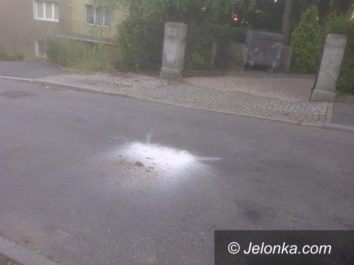 Jelenia Góra: Mają sprzątać i dbać o porządek, a śmiecą?