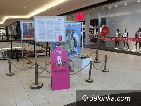 Powiat/Region: Promocja regionu jeleniogórskiego we Wrocławiu