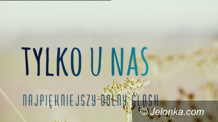 Jelenia Góra: Dziś nasze miasto "na żywo" w telewizji