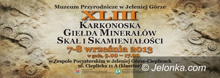 Jelenia Góra: Kolejna giełda minerałów już w ten weekend
