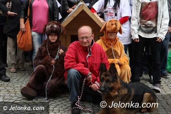 Jelenia Góra: Akcja na „Majówce”: Zdejmijmy psom łańcuchy!