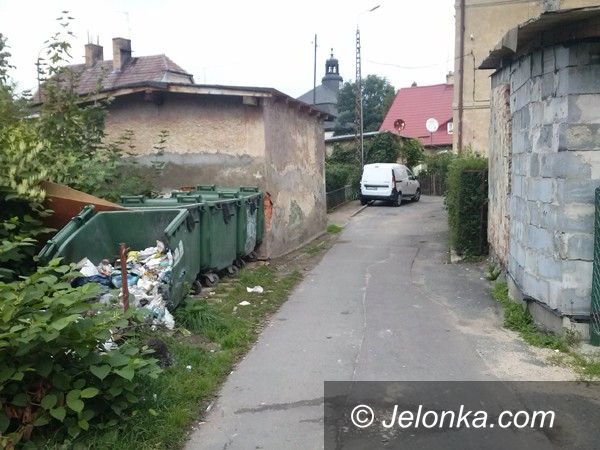 Jelenia Góra: Czytelnik: Kto posprząta bałagan przy Sądowej?